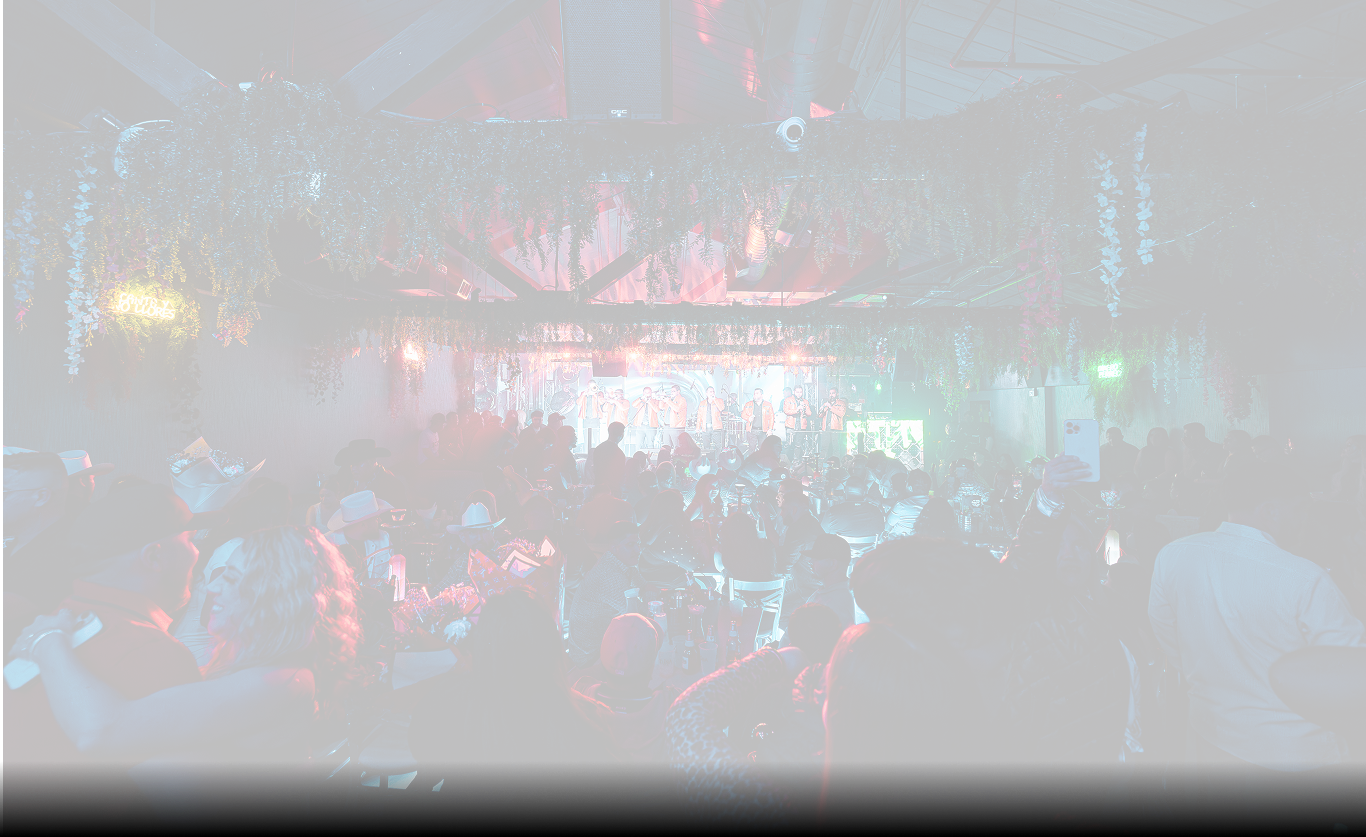 Bar photo 2